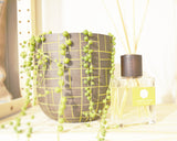 Lemongrass Lavender Room Diffusers Set